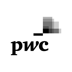 Price Waterhouse Coopers Logo